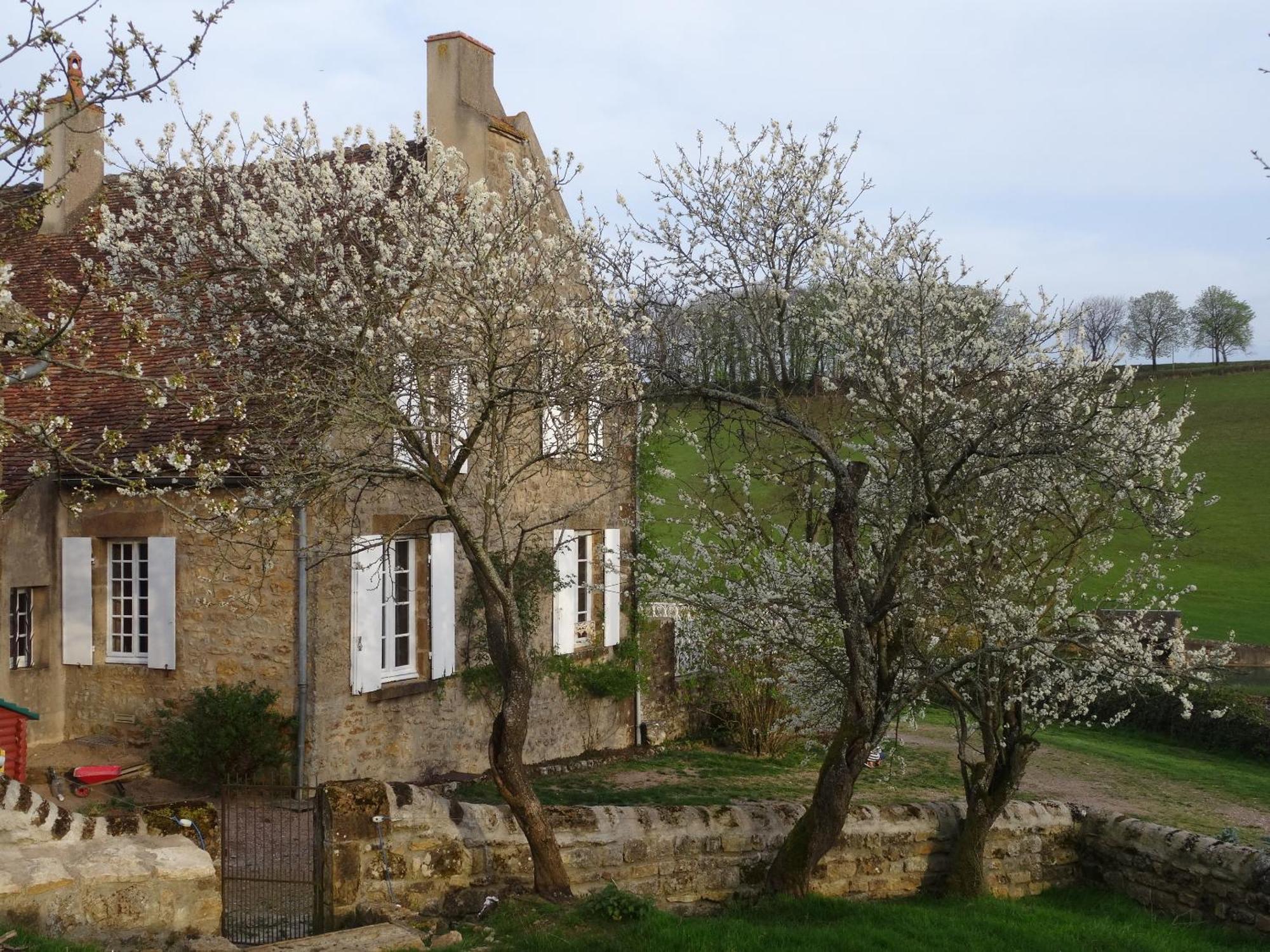 Bed and Breakfast Domaine De Dremont Anthien Экстерьер фото